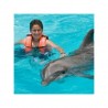 Encuentro con Delfines en Cancún