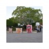 Caminata del Arte en Baja California Sur