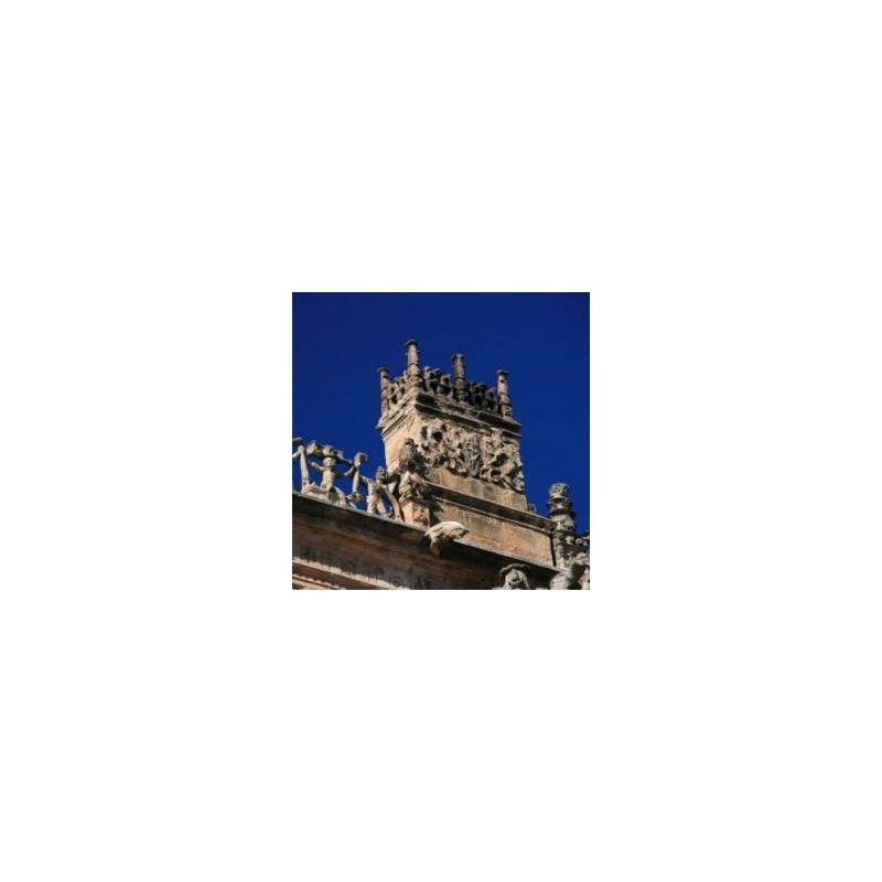 Tour por la Ciudad en Nuevo León