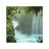 Rafting en la Huasteca Potosina