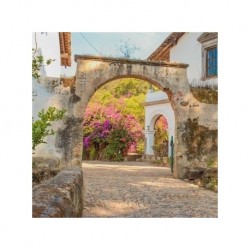 Tour en San Sebastián en Puerto Vallarta