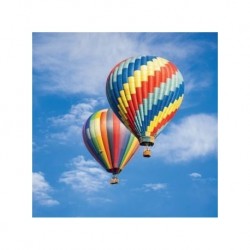 Vuelo en Globo en Puebla Privado