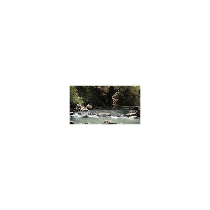 Tirolesas y Senderos Barranca de Aguacatitla-Hidalgo