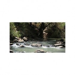 Tirolesas y Senderos Barranca de Aguacatitla-Hidalgo
