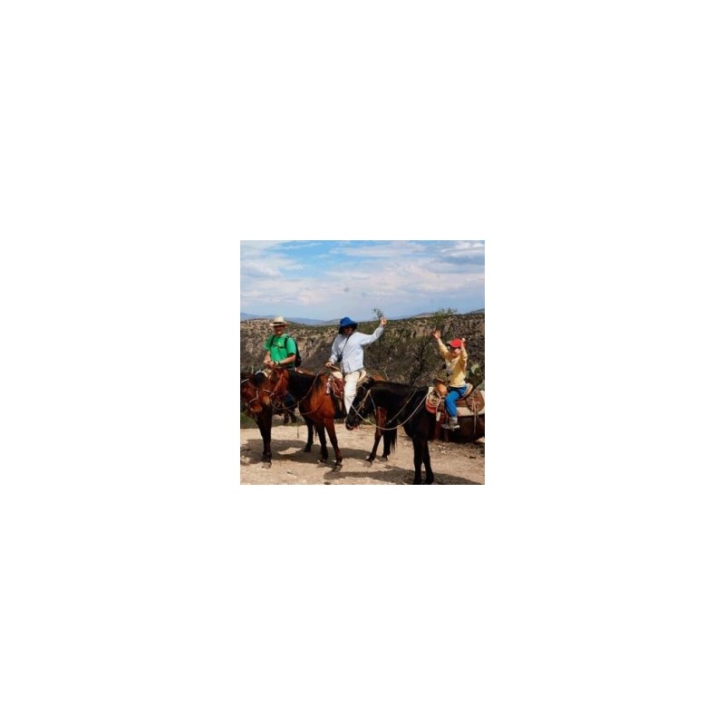 Excursión a caballo - San Miguel de Allende