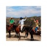 Excursión a caballo - San Miguel de Allende