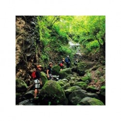 Cañonismo - Cuernavaca