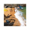 Kayak / Stand Up Padde - Puerto Vallarta