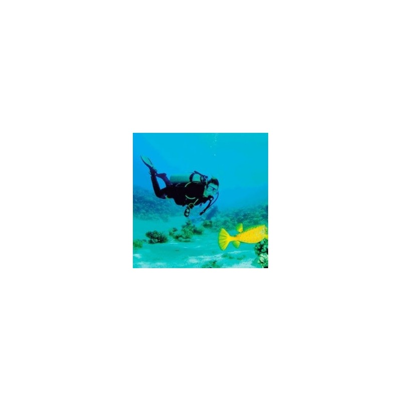 Buceo - Acapulco