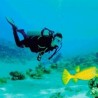 Buceo - Acapulco