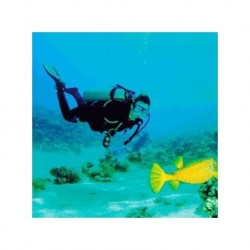 Buceo - Acapulco
