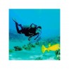 Buceo - Acapulco