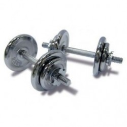 Juego de Mancuernas Cromadas 40 Lb Ion Fitness EX1333-Plata
