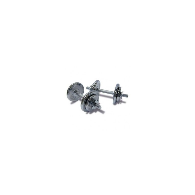 Juego de Mancuernas Cromadas 40 Lb Ion Fitness EX1333-Plata