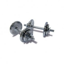 Juego de Mancuernas Cromadas 40 Lb Ion Fitness EX1333-Plata