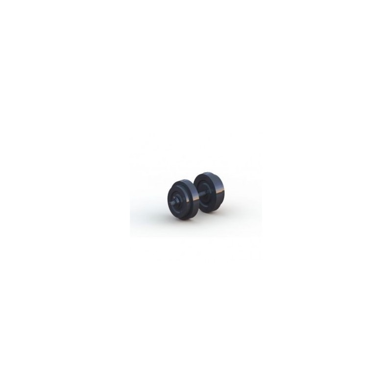 Mancuerna con 12 Kg Energym-Negro