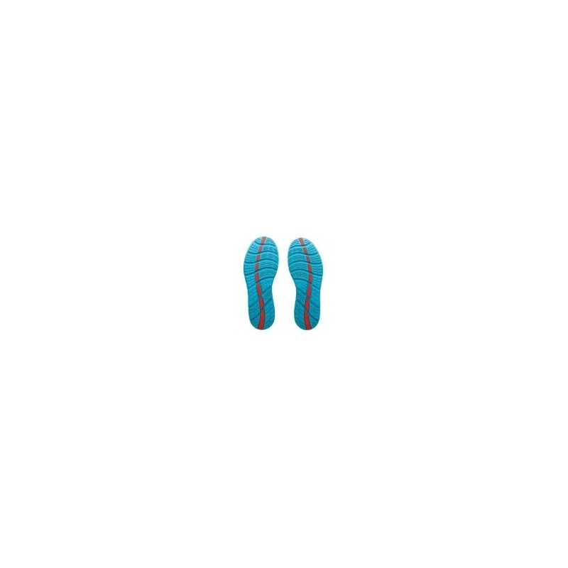 Tenis Pearl Izumi ROAD M2