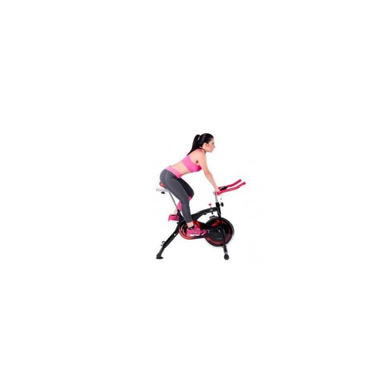 Bicicleta Fija Spin Bike Ergom