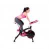 Bicicleta Fija Spin Bike Ergom